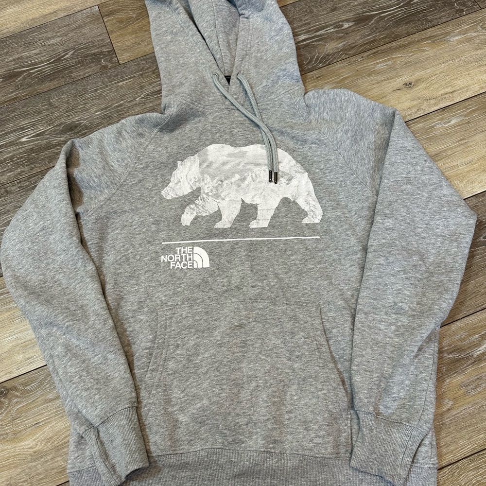 The North Face Gray Bear Graphic Hoodie